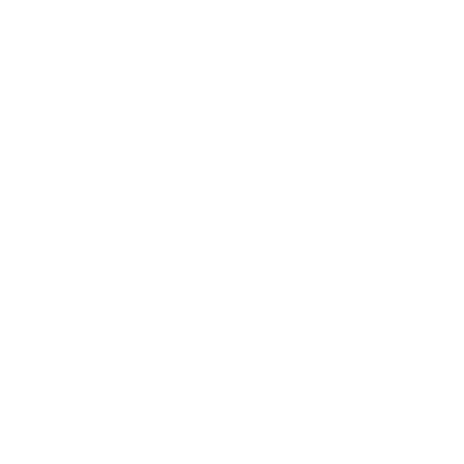 brain